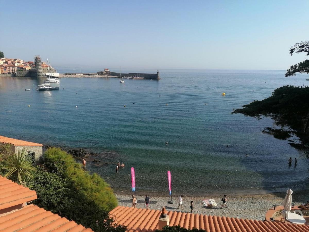 Charmant Appartement De Vacances Au Coeur D'Argeles Eksteriør bilde